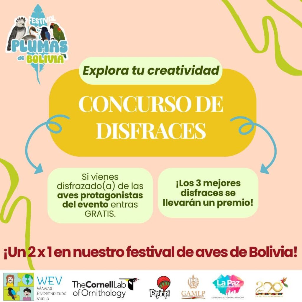 Festival de avez